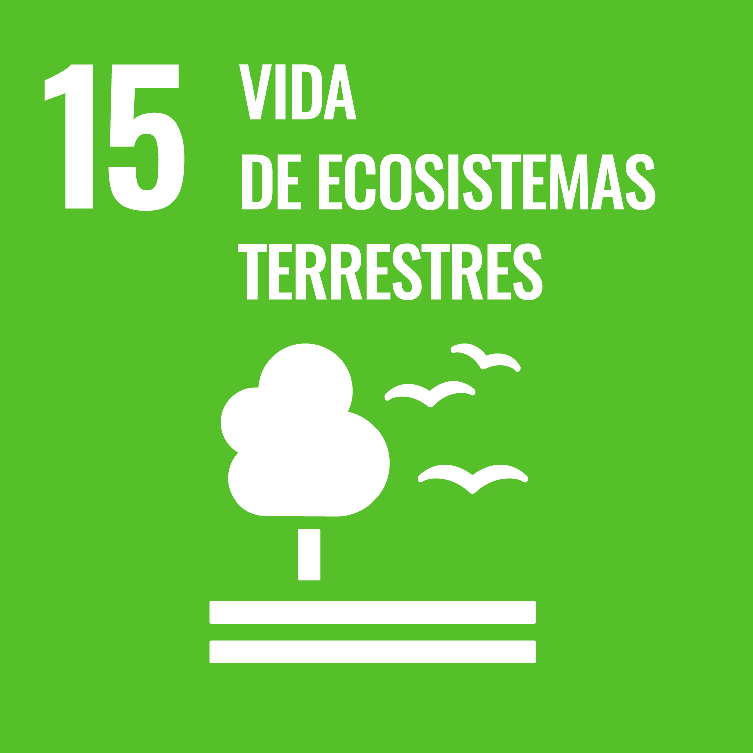 Compromiso de Visita Gijón/Xixón con el ODS 15 vida y ecosistemas terrestres
